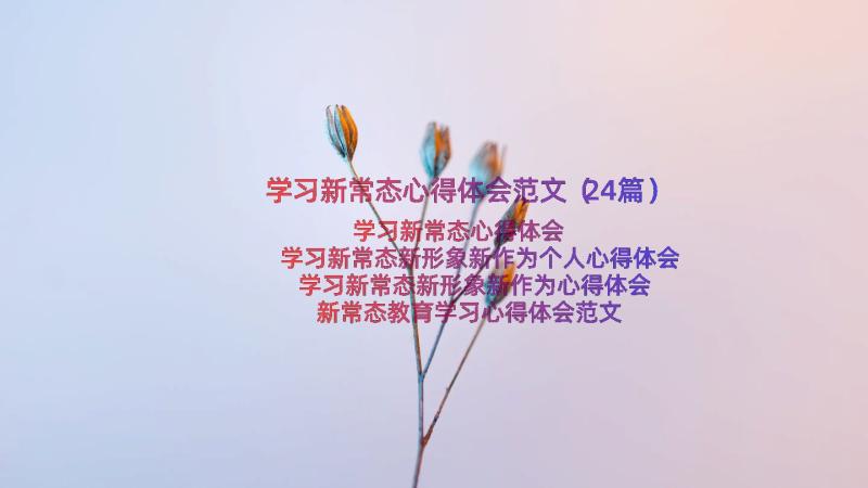 学习新常态心得体会范文（24篇）