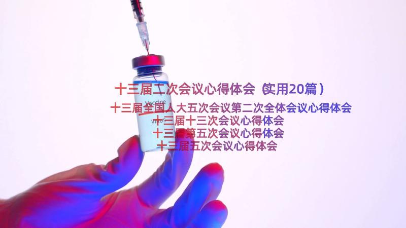 十三届二次会议心得体会（实用20篇）