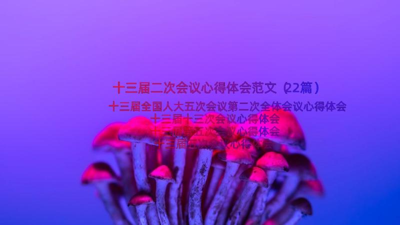 十三届二次会议心得体会范文（22篇）