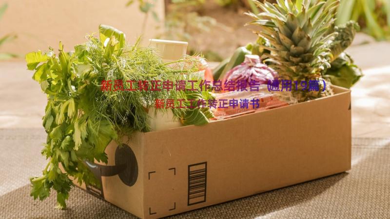 新员工转正申请工作总结报告（通用19篇）