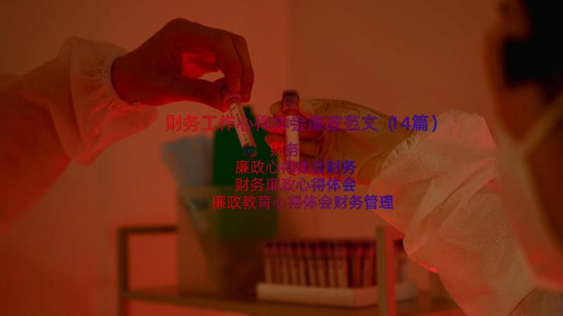 财务工作心得体会廉政范文（14篇）