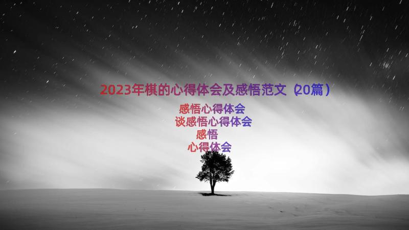 2023年棋的心得体会及感悟范文（20篇）