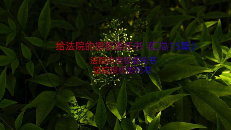 给法院的授权委托书（汇总15篇）