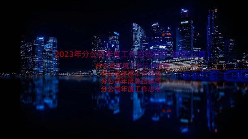 2023年分公司年度工作总结报告（实用20篇）