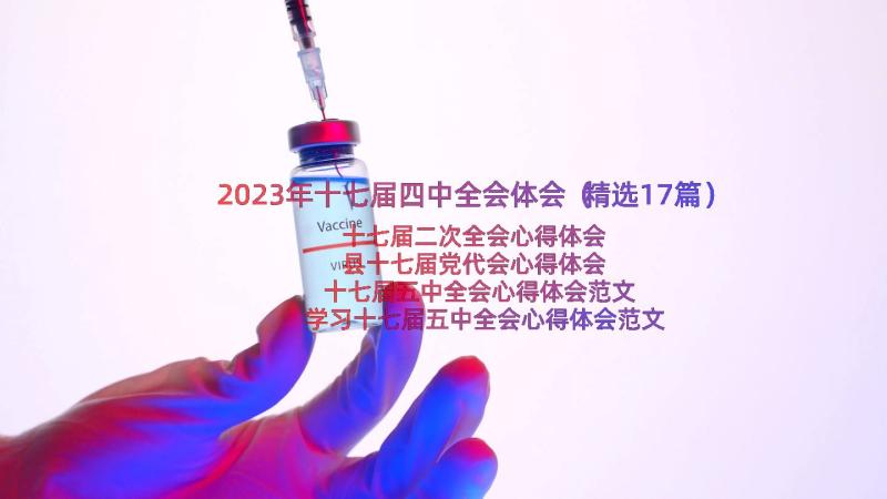 2023年十七届四中全会体会（精选17篇）