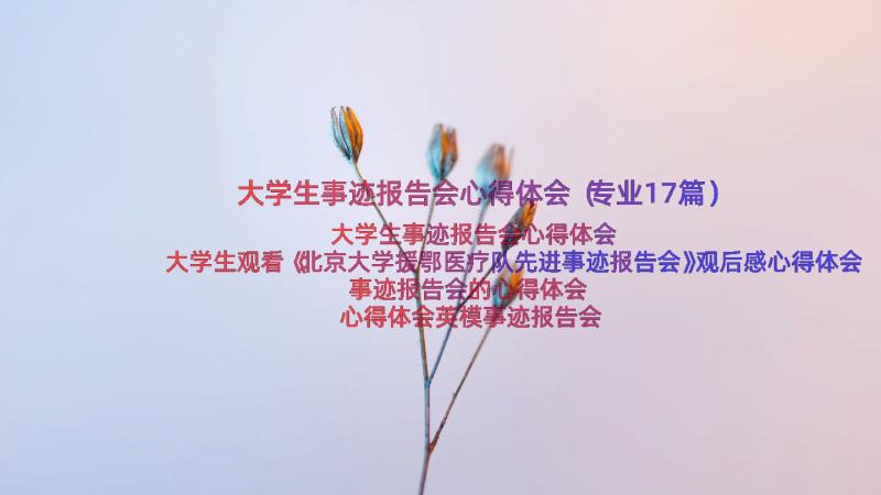 大学生事迹报告会心得体会（专业17篇）