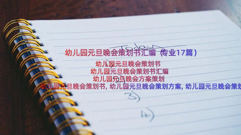 幼儿园元旦晚会策划书汇编（专业17篇）