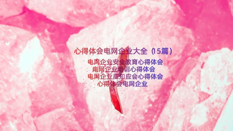 心得体会电网企业大全（15篇）