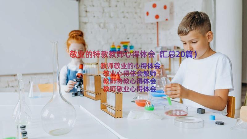 敬业的特教教师心得体会（汇总20篇）