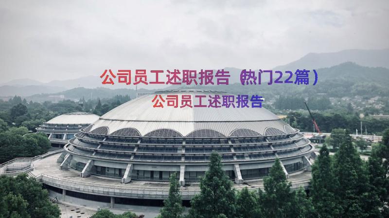 公司员工述职报告（热门22篇）