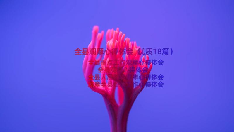 全县观摩心得体会（优质18篇）