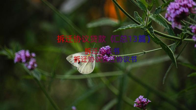 拆迁协议贷款（汇总13篇）