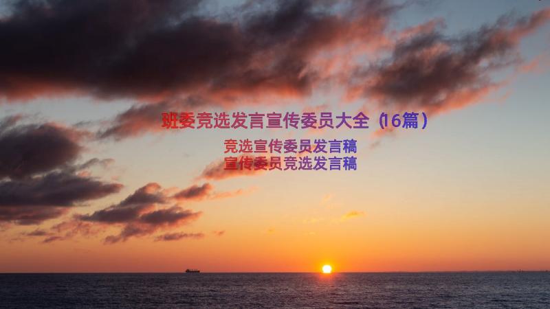 班委竞选发言宣传委员大全（16篇）