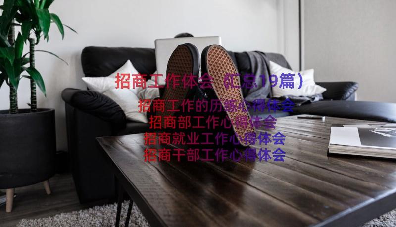 招商工作体会（汇总19篇）