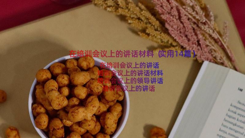 在培训会议上的讲话材料（实用14篇）