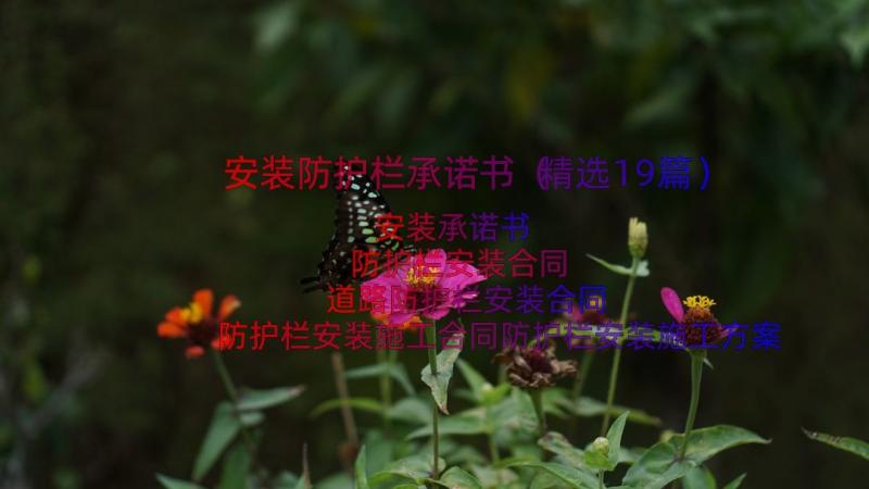 安装防护栏承诺书（精选19篇）