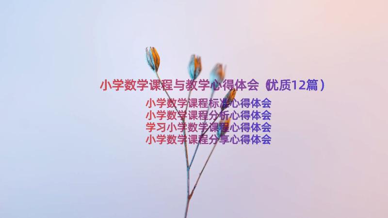 小学数学课程与教学心得体会（优质12篇）