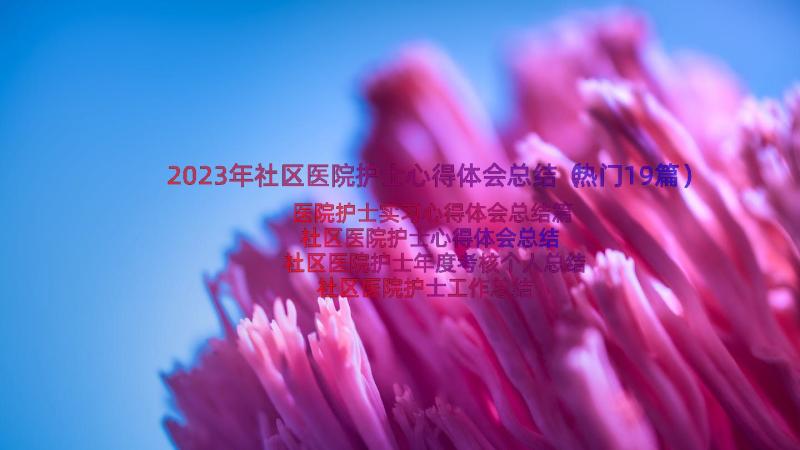 2023年社区医院护士心得体会总结（热门19篇）