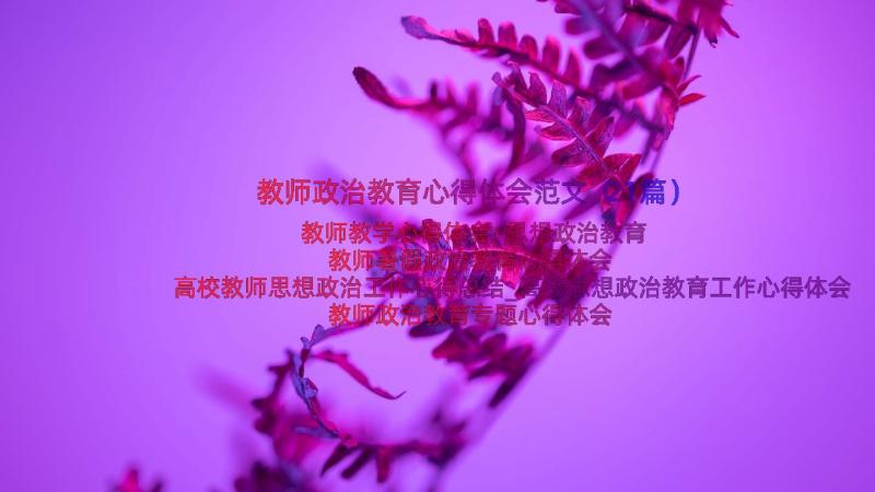 教师政治教育心得体会范文（21篇）