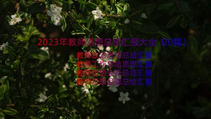 2023年教师思想总结汇报大全（20篇）