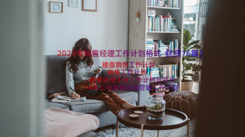 2023年销售经理工作计划格式（优质16篇）