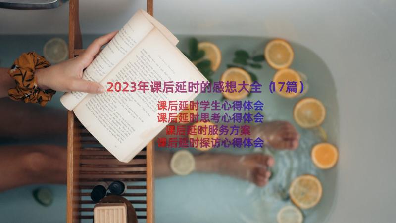 2023年课后延时的感想大全（17篇）