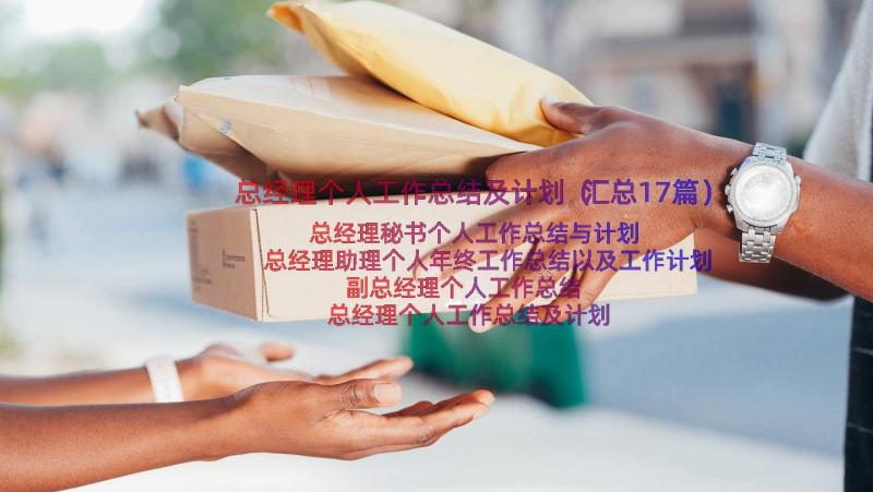 总经理个人工作总结及计划（汇总17篇）