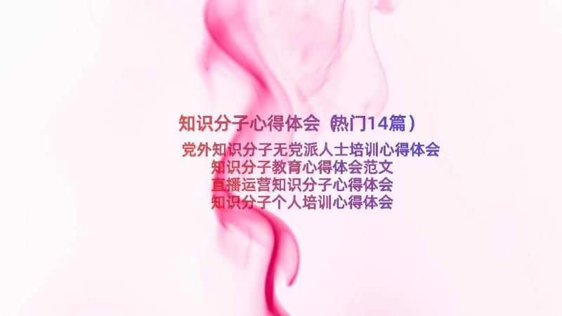 知识分子心得体会（热门14篇）