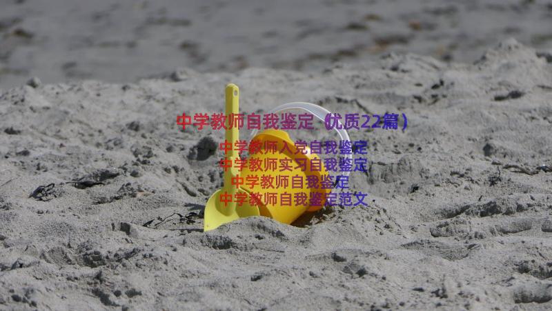 中学教师自我鉴定（优质22篇）