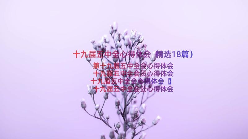 十九届五中全心得体会（精选18篇）