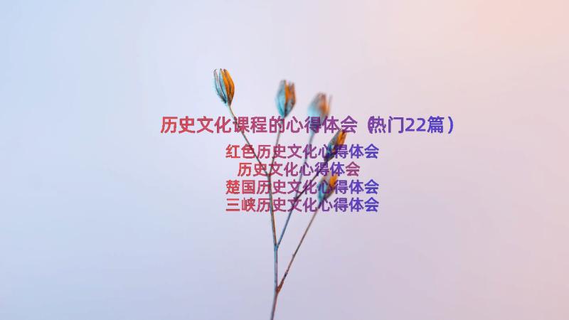 历史文化课程的心得体会（热门22篇）