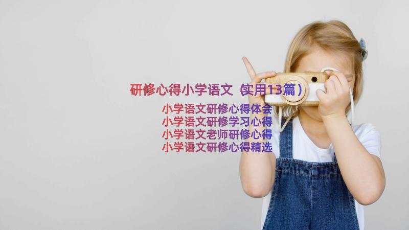 研修心得小学语文（实用13篇）