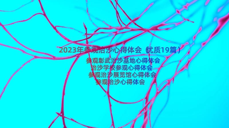 2023年参观治沙心得体会（优质19篇）