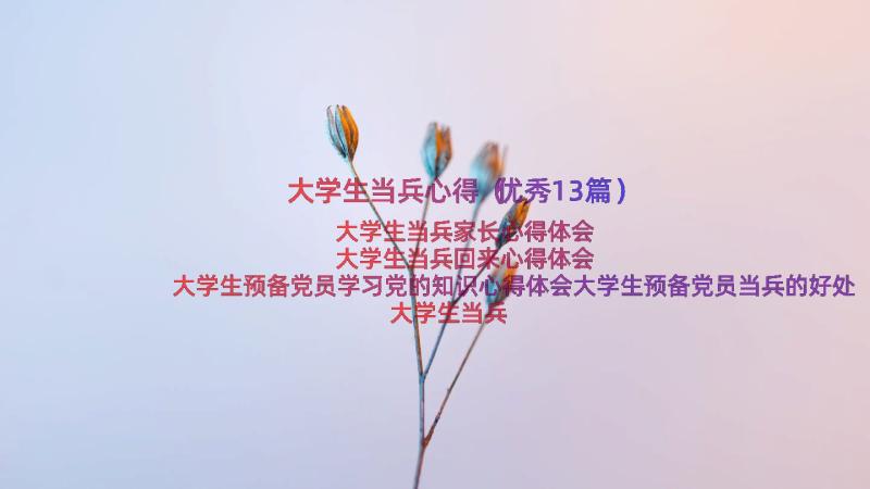 大学生当兵心得（优秀13篇）