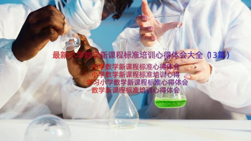 最新小学数学新课程标准培训心得体会大全（13篇）