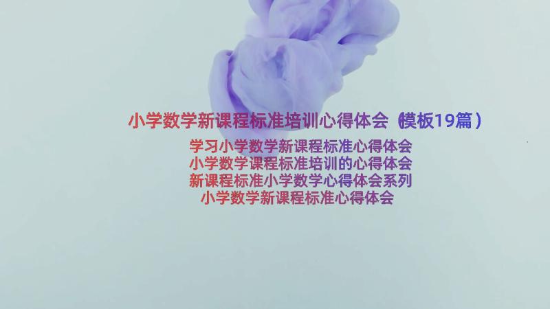 小学数学新课程标准培训心得体会（模板19篇）