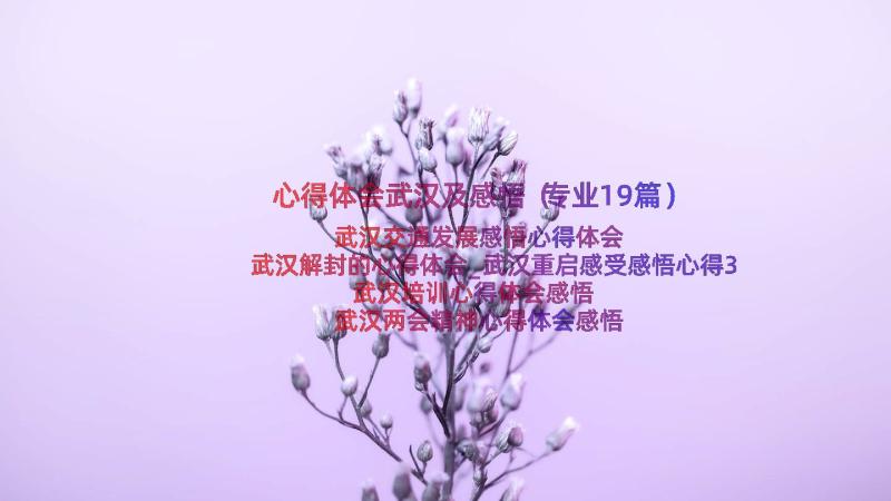 心得体会武汉及感悟（专业19篇）