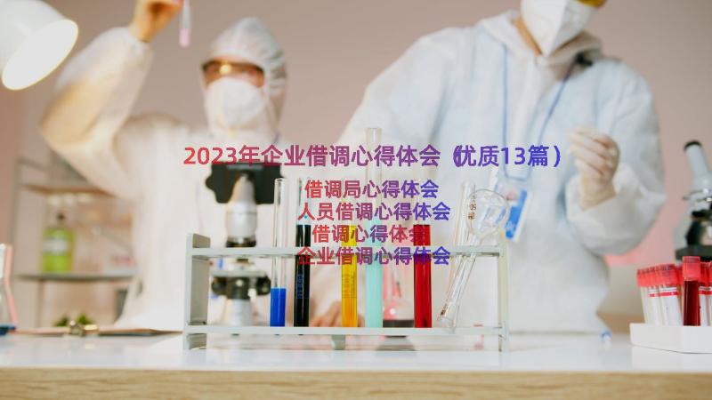 2023年企业借调心得体会（优质13篇）