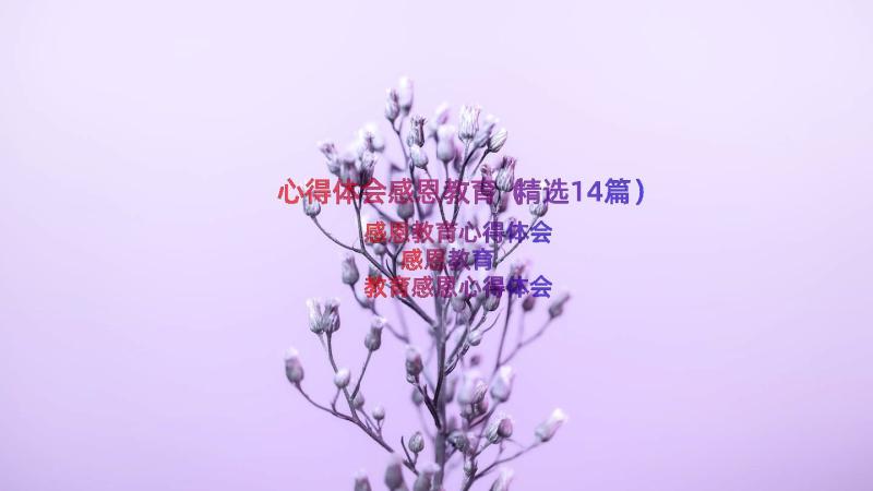 心得体会感恩教育（精选14篇）