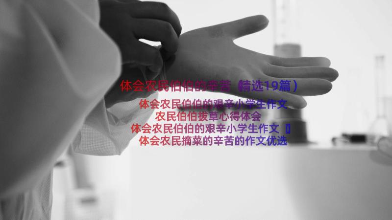 体会农民伯伯的辛苦（精选19篇）