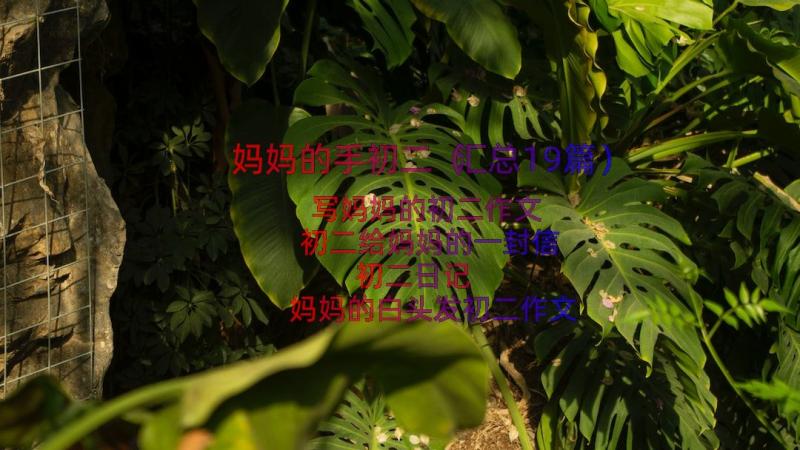 妈妈的手初二（汇总19篇）