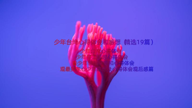 少年台湾心得体会和感想（精选19篇）