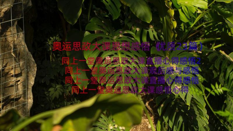 奥运思政大课思想感悟（优质23篇）