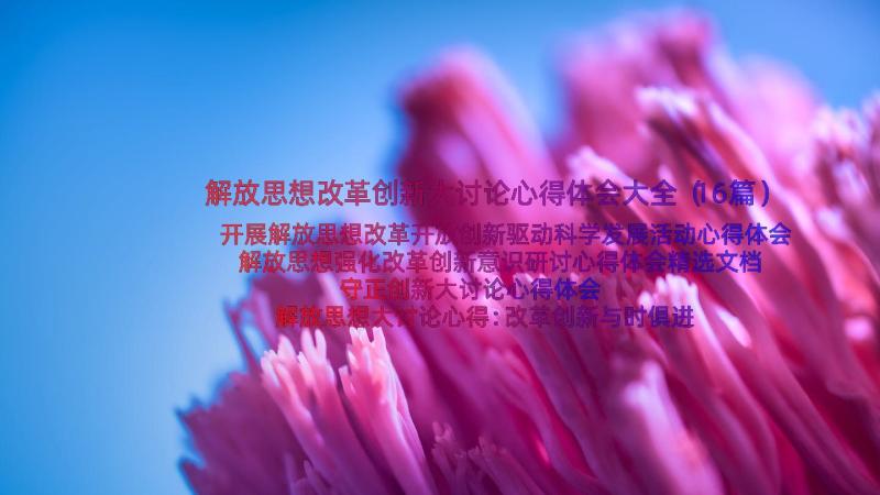 解放思想改革创新大讨论心得体会大全（16篇）