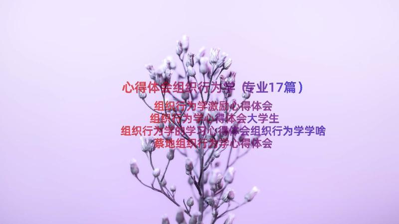 心得体会组织行为学（专业17篇）