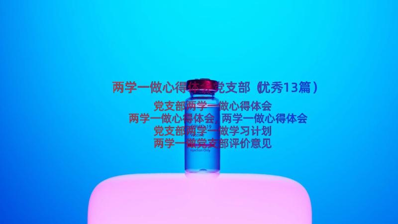 两学一做心得体会党支部（优秀13篇）