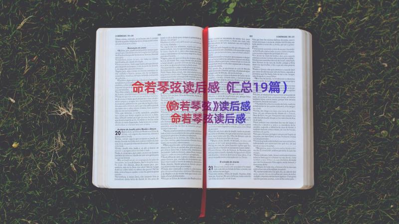 命若琴弦读后感（汇总19篇）