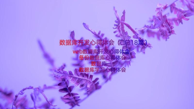 数据库开发心得体会（汇总18篇）