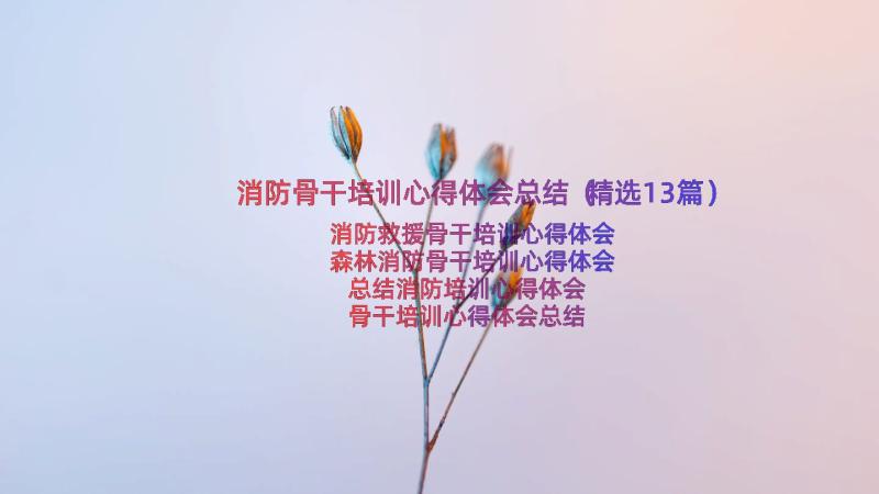 消防骨干培训心得体会总结（精选13篇）