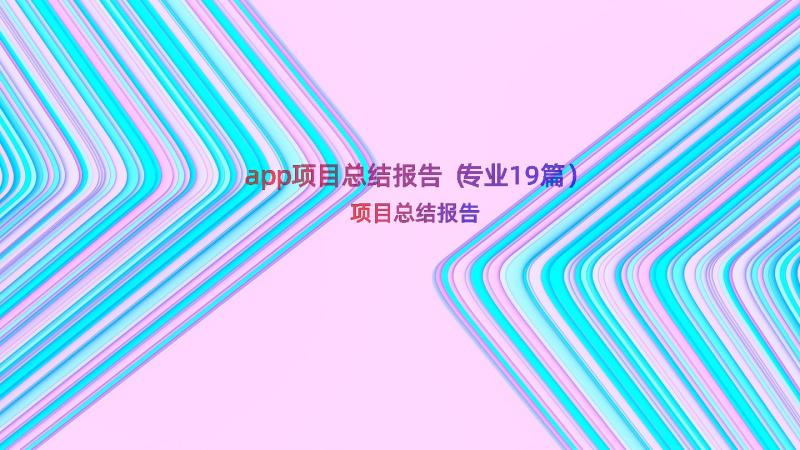 app项目总结报告（专业19篇）